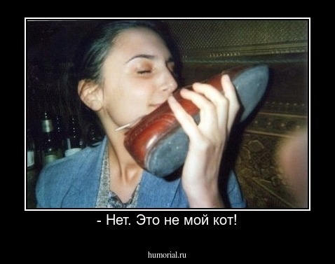 - Нет. Это не мой кот!