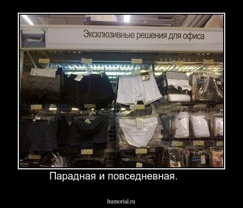 Парадная и повседневная.     