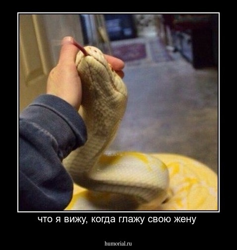 что я вижу, когда глажу свою жену 