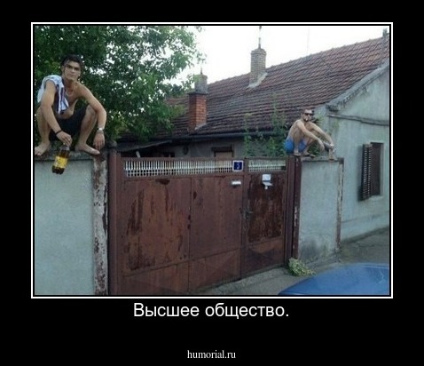 Высшее общество.
