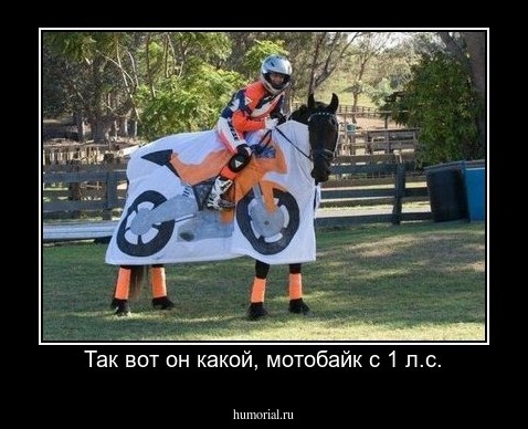 Так вот он какой, мотобайк с 1 л.с.