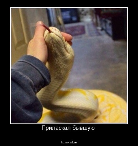 Приласкал бывшую 