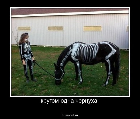 кругом одна чернуха 