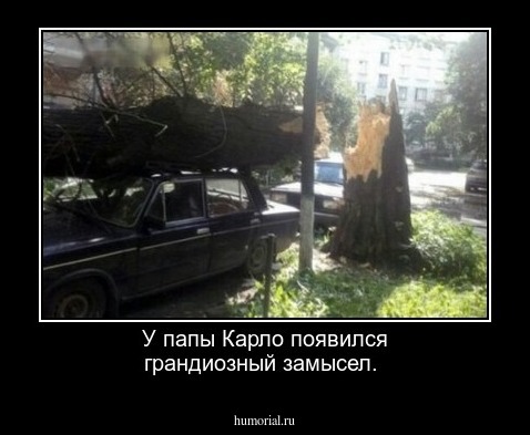 У папы Карло появился грандиозный замысел.