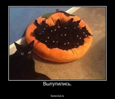 Вылупились.