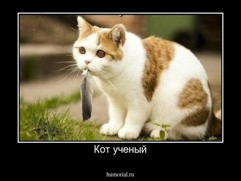 Кот ученый