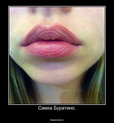 Самка Буратино.