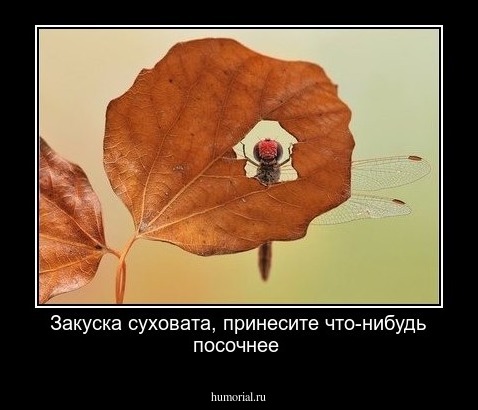 Закуска суховата, принесите что-нибудь посочнее