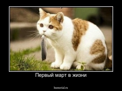 Первый март в жизни