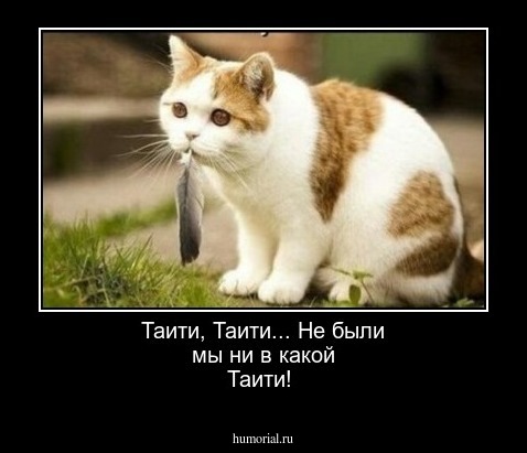 Таити, Таити...  Не были мы ни в какой Таити!