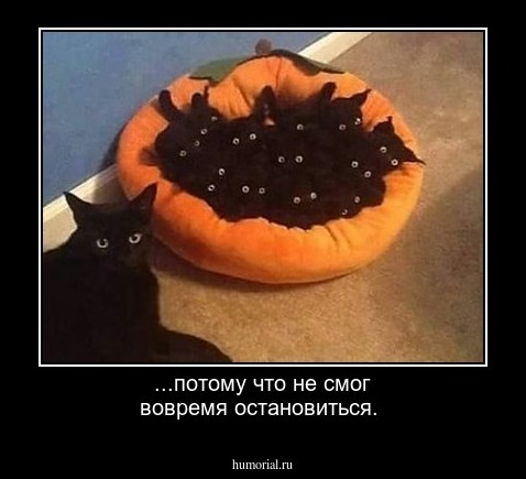 ...потому что не смог вовремя остановиться.