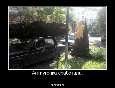 Антиугонка сработала.