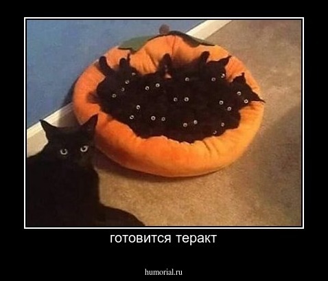 готовится теракт