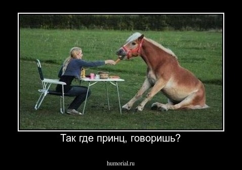 Так где принц, говоришь?