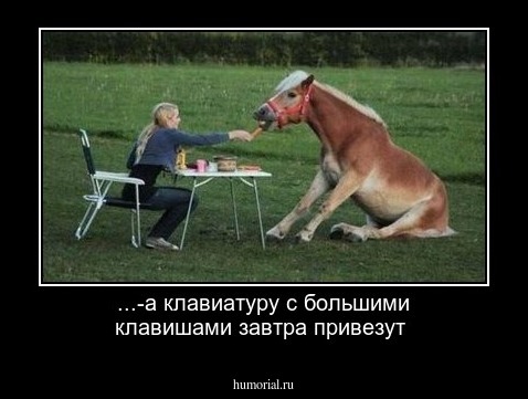 ...-а клавиатуру  с большими клавишами завтра привезут