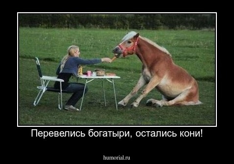 Перевелись богатыри, остались кони!