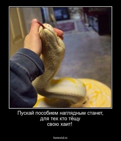 Пускай пособием наглядным станет,
для тех кто тёщу свою хаит!
