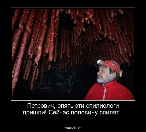 Петрович, опять эти спилиологи пришли! Сейчас половину спилят!