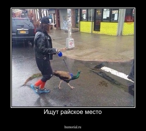 Ищут райское место