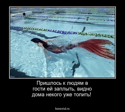 Пришлось к людям в гости ей заплыть,
видно дома некого уже топить!