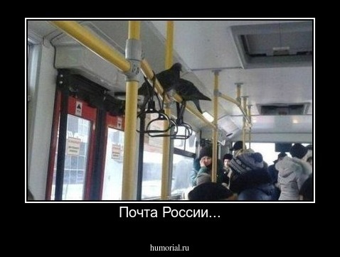 Почта России...
