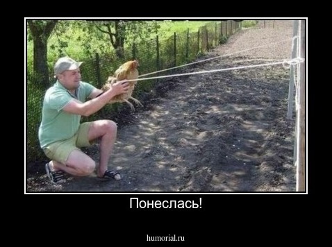 Понеслась!