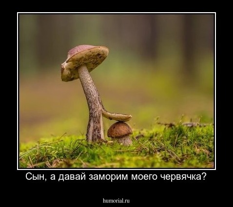 Сын, а давай заморим моего червячка?