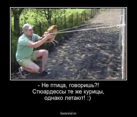 - Не птица, говоришь?! Стюардессы те же курицы, однако летают! :)