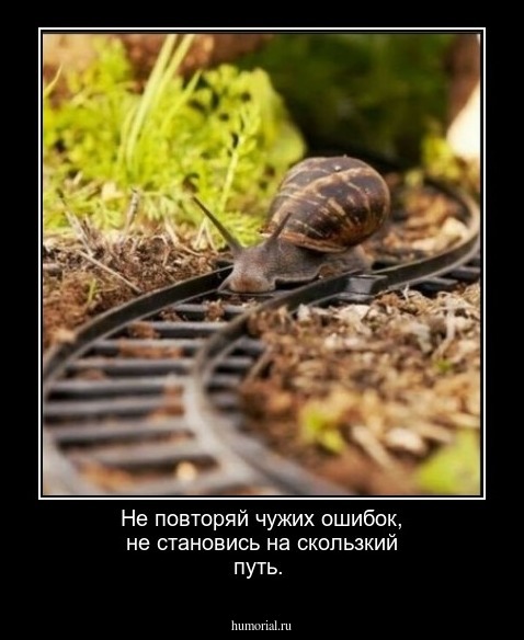Не повторяй чужих ошибок, не становись на скользкий путь.