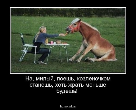 На, милый, поешь, козленочком станешь, хоть жрать меньше будешь!
