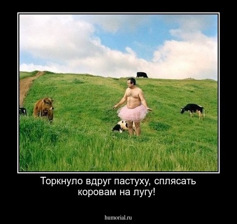 Торкнуло вдруг пастуху, сплясать коровам на лугу!