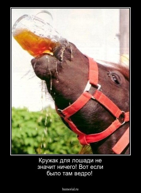 Кружак для лошади не значит ничего! Вот если было там ведро!