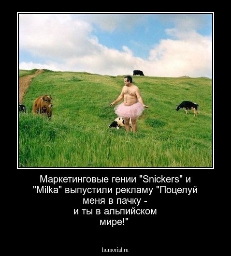 Маркетинговые гении "Snickers" и "Milka" выпустили рекламу "Поцелуй меня в пачку - и ты в альпийском мире!"