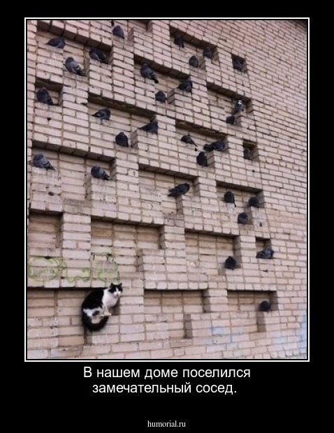 В нашем доме поселился замечательный сосед.