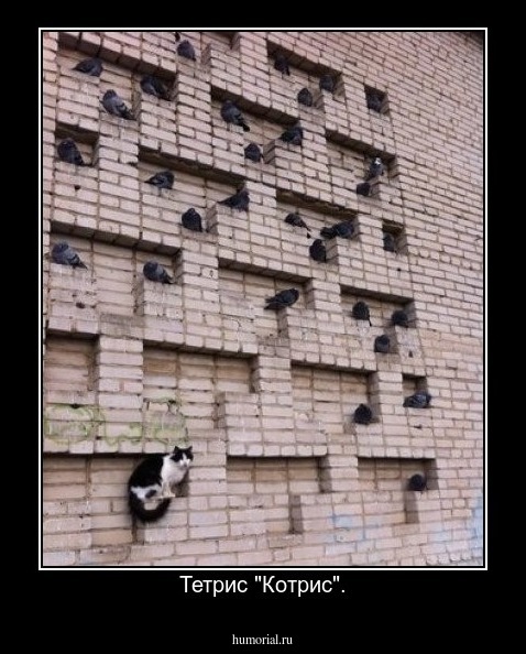 Тетрис "Котрис".