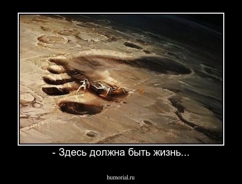 - Здесь должна быть жизнь...