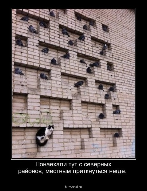 Понаехали тут с северных районов, местным приткнуться негде.