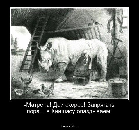 -Матрена! Дои скорее! Запрягать пора... в Киншасу
опаздываем