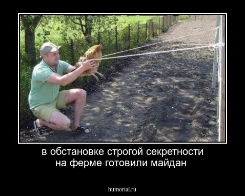 в обстановке строгой секретности на ферме готовили майдан