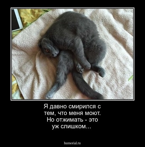 Я давно смирился с тем, что меня моют. Но отжимать - это уж слишком...