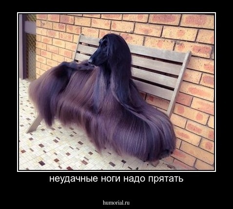 неудачные ноги надо прятать