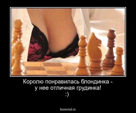 Королю понравилась блондинка - у нее отличная грудинка! :)