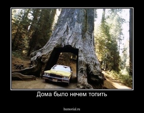 Дома было нечем топить