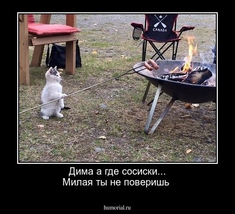 Дима а где сосиски... Милая ты не поверишь