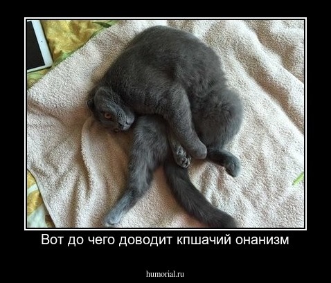 Вот до чего доводит кпшачий онанизм