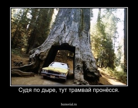 Судя по дыре, тут трамвай пронёсся.