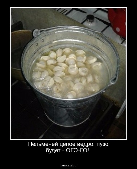 Пельменей целое ведро, пузо будет - ОГО-ГО!