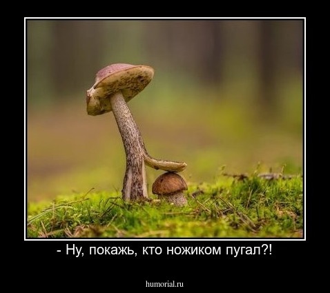 - Ну, покажь, кто ножиком пугал?!