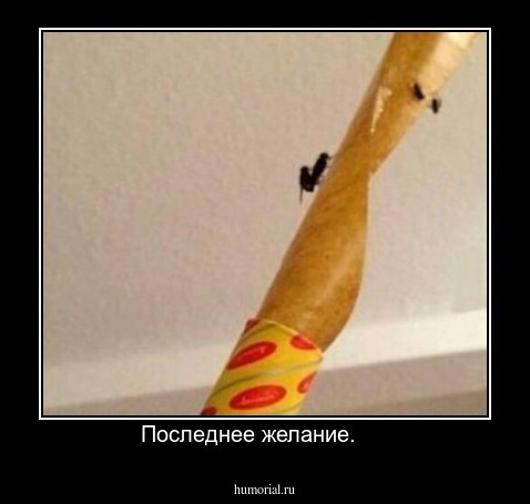 Последнее желание.     