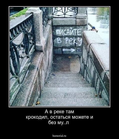 А в реке там крокодил, остаться можете и без му..л